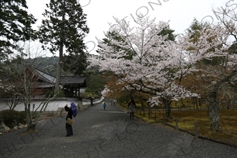 Nanzen-ji Grounds in Kyoto