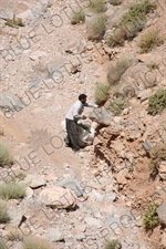 Man Collecting Grass near Chak Chak Temple near Yazd