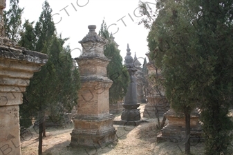 Pagoda Forest at the Shaolin Temple in Dengfeng