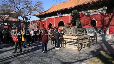 Guardian Lion in front of the Gate of Peace and Harmony (Yonghe Men) in the Lama Temple in Beijing