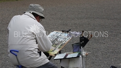 Artist Painting Trees in Shinjuku Gyoen National Park in Tokyo