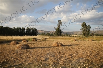 Countryside around Abuna Yemata Guh