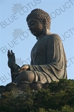 Big Buddha (Tiantan Da Fo) Statue on Lantau in Hong Kong