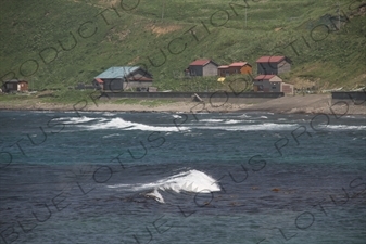 Houses on the Coastline of Rebun