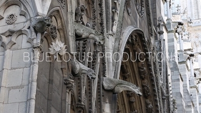 Notre-Dame Gargoyles in Paris