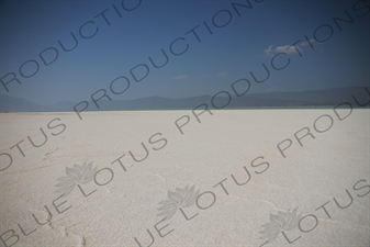 Salt Flats around Lake Assal in Djibouti