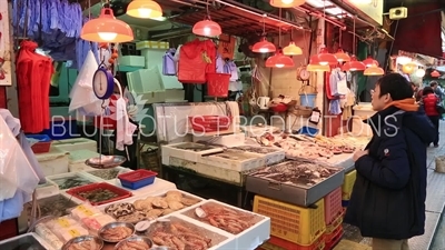 Gage Street Fishmonger on Hong Kong Island