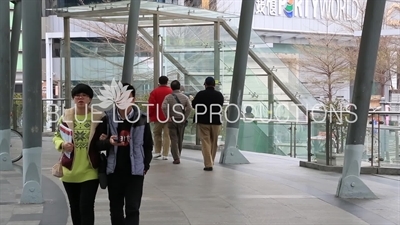 Shenzhen Pedestrian Bridge