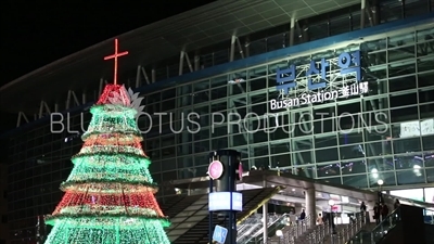 Busan Train Station Christmas Tree