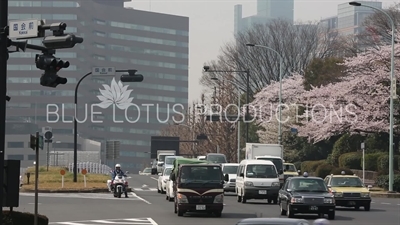 Tokyo Street