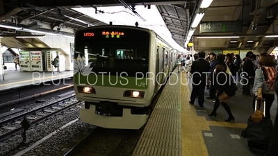 Train Arriving at Shinjuku Station in Tokyo