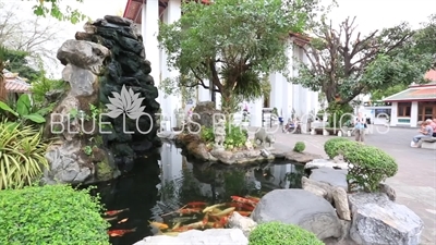 Carp pool at Wat Pho (Wat Phra Chetuphon Vimolmangklararm Rajwaramahaviharn) in Bangkok