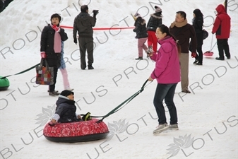 'Winter Show' in the Bird's Nest/National Stadium (Niaochao/Guojia Tiyuchang) in the Olympic Park in Beijing