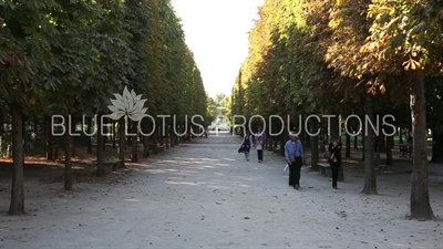 Tuileries Garden (Jardin des Tuileries) in Paris