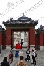 Married Couple Getting Their Picture Taken in the Hall of Prayer for Good Harvests (Qi Nian Dian) Compound in the Temple of Heaven (Tiantan) in Beijing