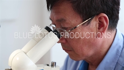 Worker Testing a Watch Mechanism at 'Sea Gull Watch Group' Factory in Tianjin