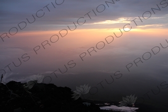 Sunrise at the Summit of Mount Fuji