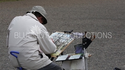 Artist Painting Trees in Shinjuku Gyoen National Park in Tokyo