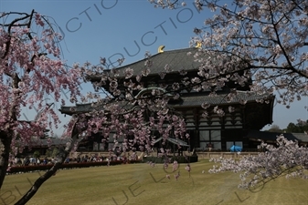 Big Buddha Hall (Daibutsuden) of Todaiji in Nara