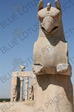 Double Headed Griffin Protome Capital at Persepolis