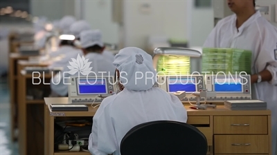 Tianjin 'Sea Gull Watch Group' Factory