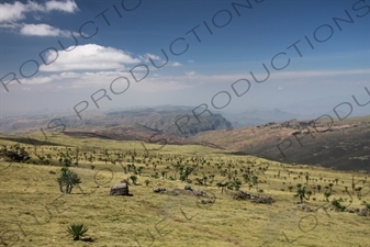 Simien Mountains National Park