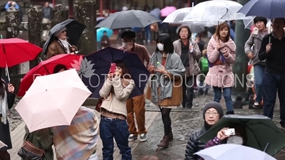 People Taking Photos at Toshogu Shrine in Nikko