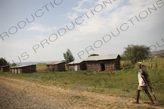 Road Leading to the Blue Nile Falls