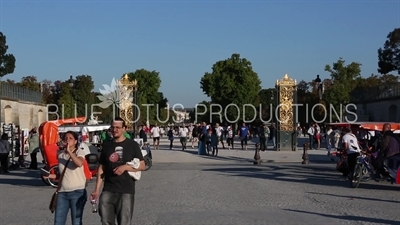 Tuileries Garden (Jardin des Tuileries) in Paris