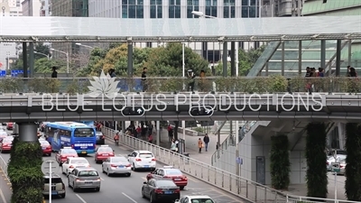 Shenzhen Pedestrian Bridge