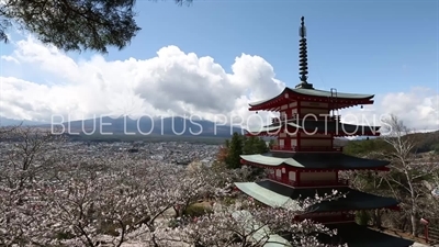 Chureito Pagoda, Mount Fuji and Fujiyoshida