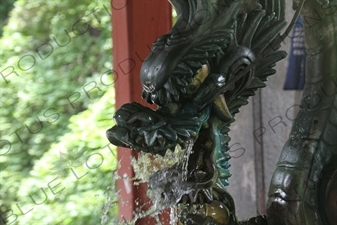 Dragon Spout Water Purification Basin (Chozubachi) in Fujiyoshida Sengen Shrine in Fujiyoshida