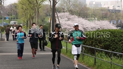 Tokyo Imperial Palace (Kokyo) Joggers