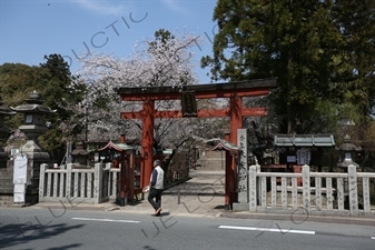 Torii of Himuro Jinja in Nara