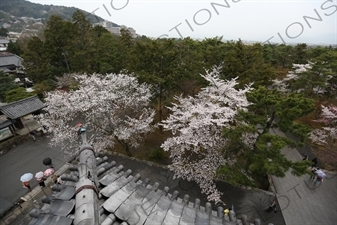 Grounds of Nanzen-ji in Kyoto