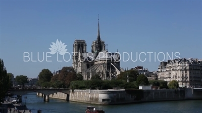 Notre-Dame and the Archbishop's Bridge (Pont de l'Archevêché) in Paris