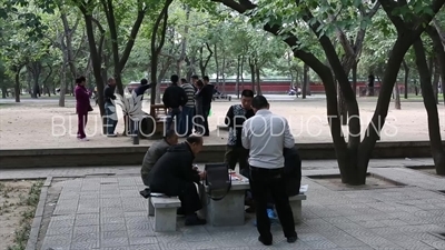 Playing Cards in the Temple of the Sun Park (Ritan Gongyuan) in Beijing