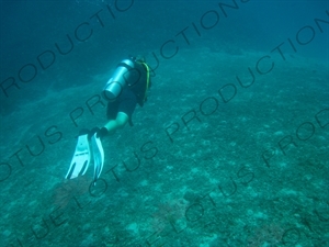 Scuba Diver off the Coast of Gili Meno