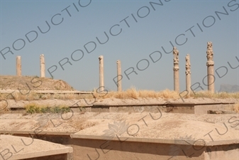 Apadana Palace at Persepolis