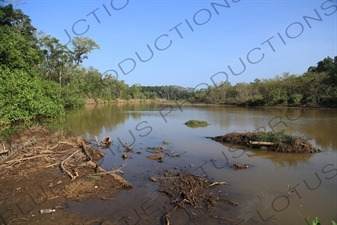 Estuary in Nosara