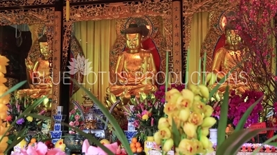 Po Lin Monastery Three Golden Buddha Statues on Lantau Island