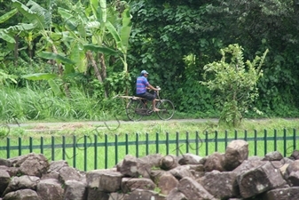 Cyclist at Prambanan Temple Compound near Yogyakarta