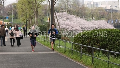 Tokyo Imperial Palace Joggers