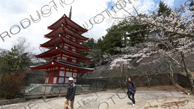 Chureito Pagoda in Fujiyoshida