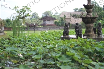 Gardens in Bali