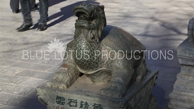 Dragon Turtle (Longgui) Statue in the Lama Temple in Beijing