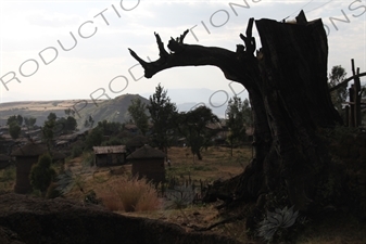 Houses in Lalibela