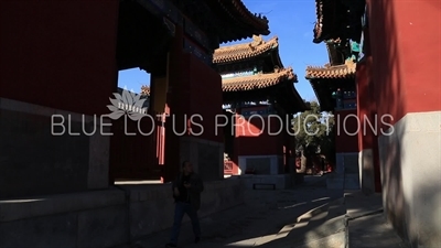 Stone Tablet Housing Pavilions (Beiting) in the Confucius Temple in Beijing