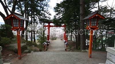 Arakura Sengen Shrine Torii near Fujiyoshida