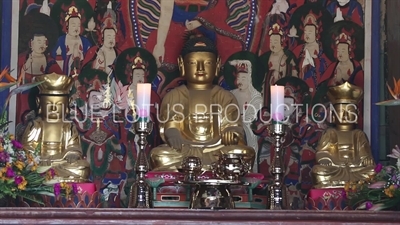 Altar in Palsang Hall (Palsangjeon) at Beomeosa Temple in Busan